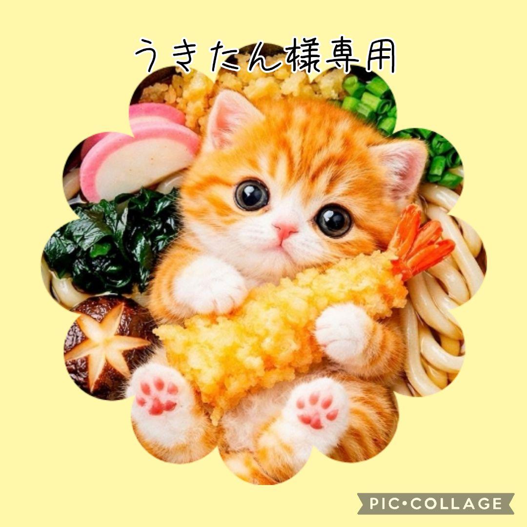 【3月】うきたん(*´꒳`*)❤︎