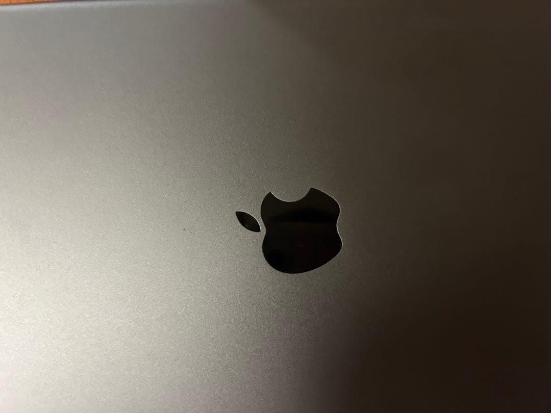 iPad 第9世代256GBスペースグレー +ケース +Apple Pencil