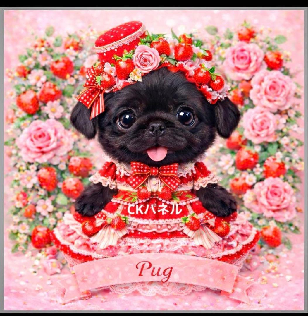 ❤️オーダー製作お受付用　確認用生地一部 317❤️