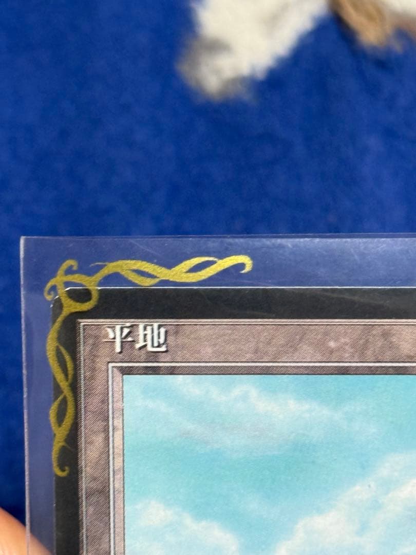 Magic: The Gathering 平地カード