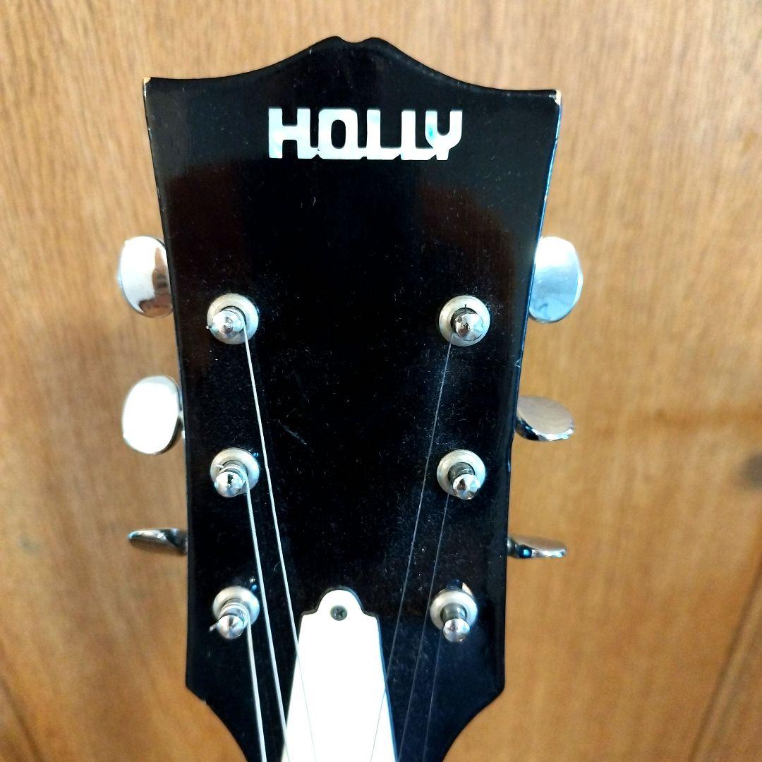 は*ね様 Holly レスポール ブラック ソフトケース付き ビザールギター