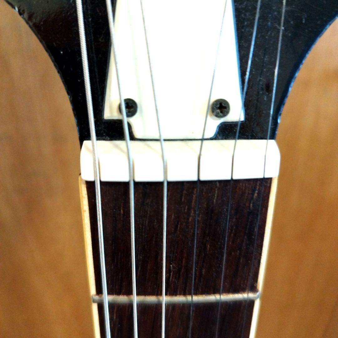 は*ね様 Holly レスポール ブラック ソフトケース付き ビザールギター