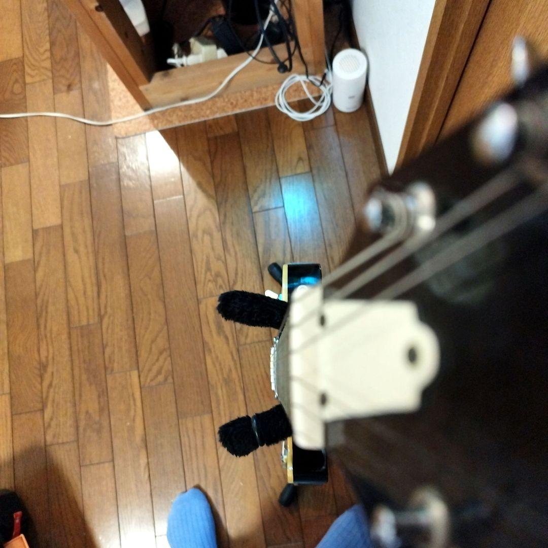 は*ね様 Holly レスポール ブラック ソフトケース付き ビザールギター