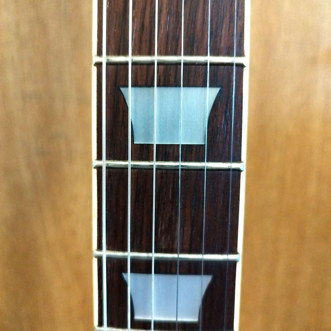 は*ね様 Holly レスポール ブラック ソフトケース付き ビザールギター