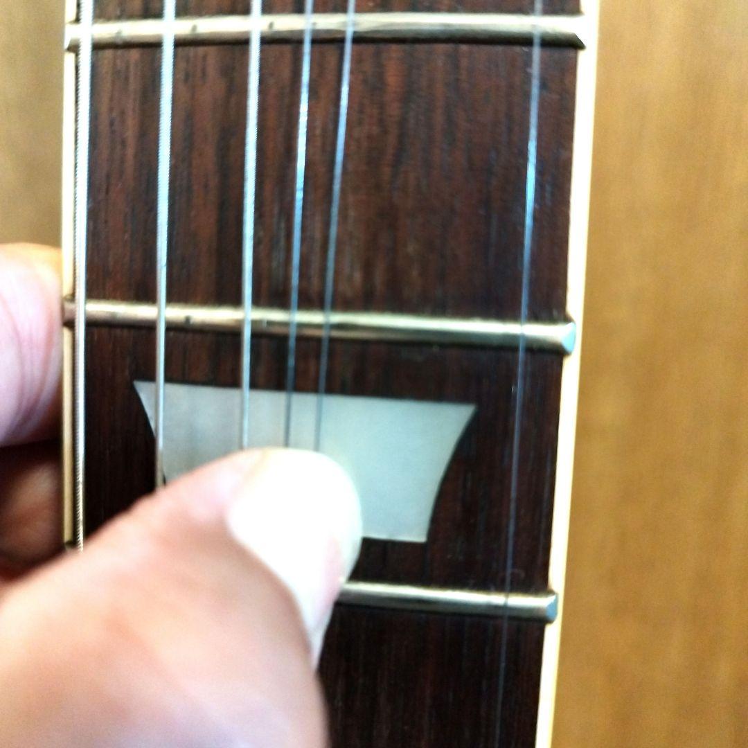 は*ね様 Holly レスポール ブラック ソフトケース付き ビザールギター