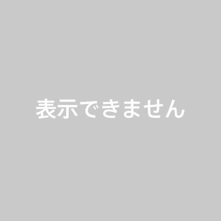 当選希少【ソフビ】【Kaiju One】【壹工房】 ゴジラ1954【墓場の画廊】
