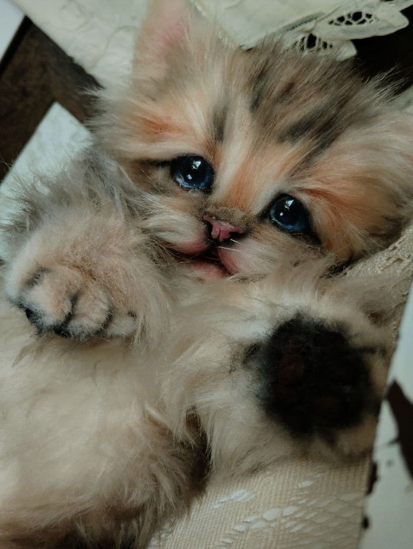 リアルサイズ♡チンチラゴールデン子猫♡ラブちゃん♡アートドール♡ぬいぐるみ♡