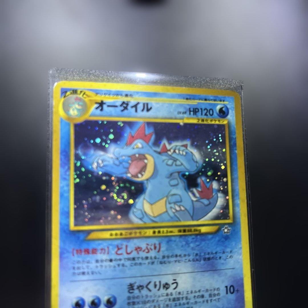 うずまきホロ　オーダイル_プレミアムファイル 第1世代 1996~1999 旧裏