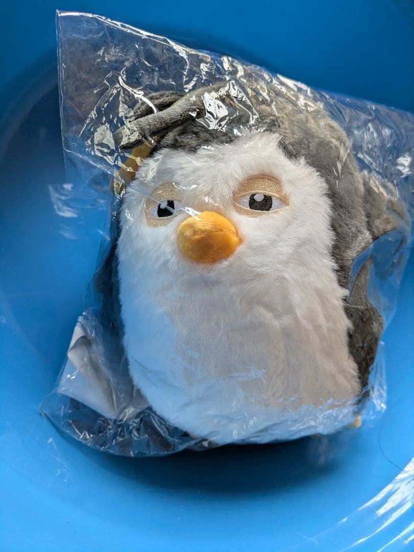 ギョンス　チレンイ　18cm