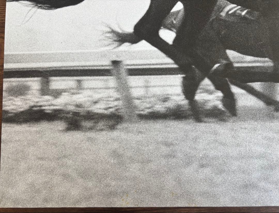 シンザン　昭和40年天皇賞 競馬パネル 日刊スポーツ