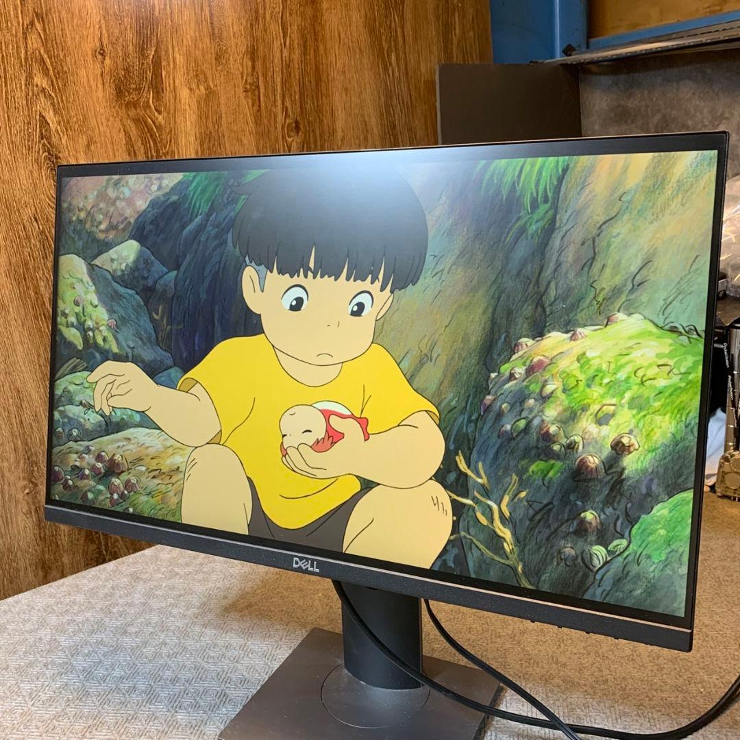 I922\" DELL PCモニター P2419HC