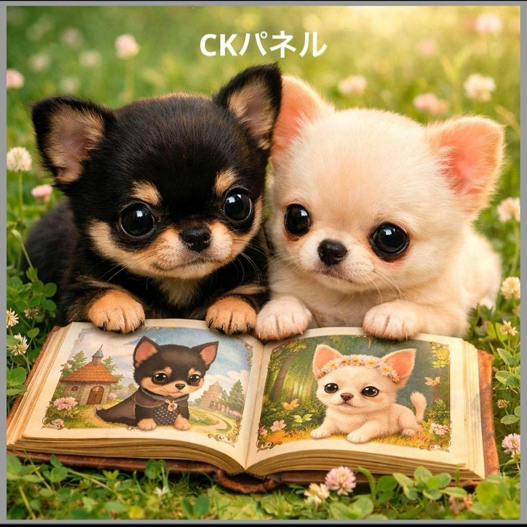 激レア絵本を読むチワワパネル生地　ハンドメイド