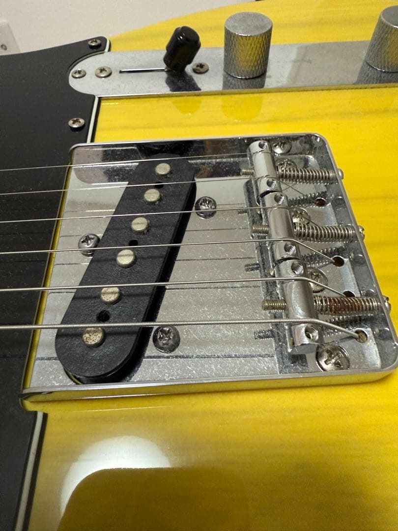 BACCHUS バッカス テレキャスター