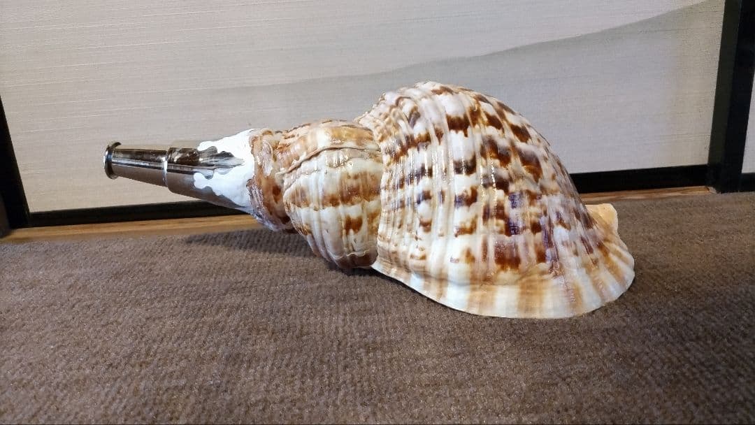 法螺貝　⑪