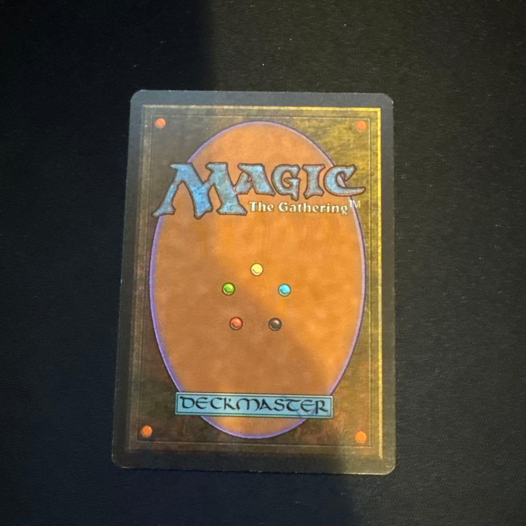 マジック：ザ・ギャザリング Scrubland 3ED