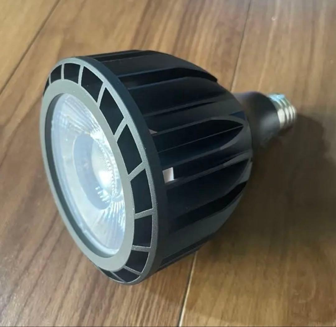 PLANTMILESTONE アガベ 植物育成ライト LED