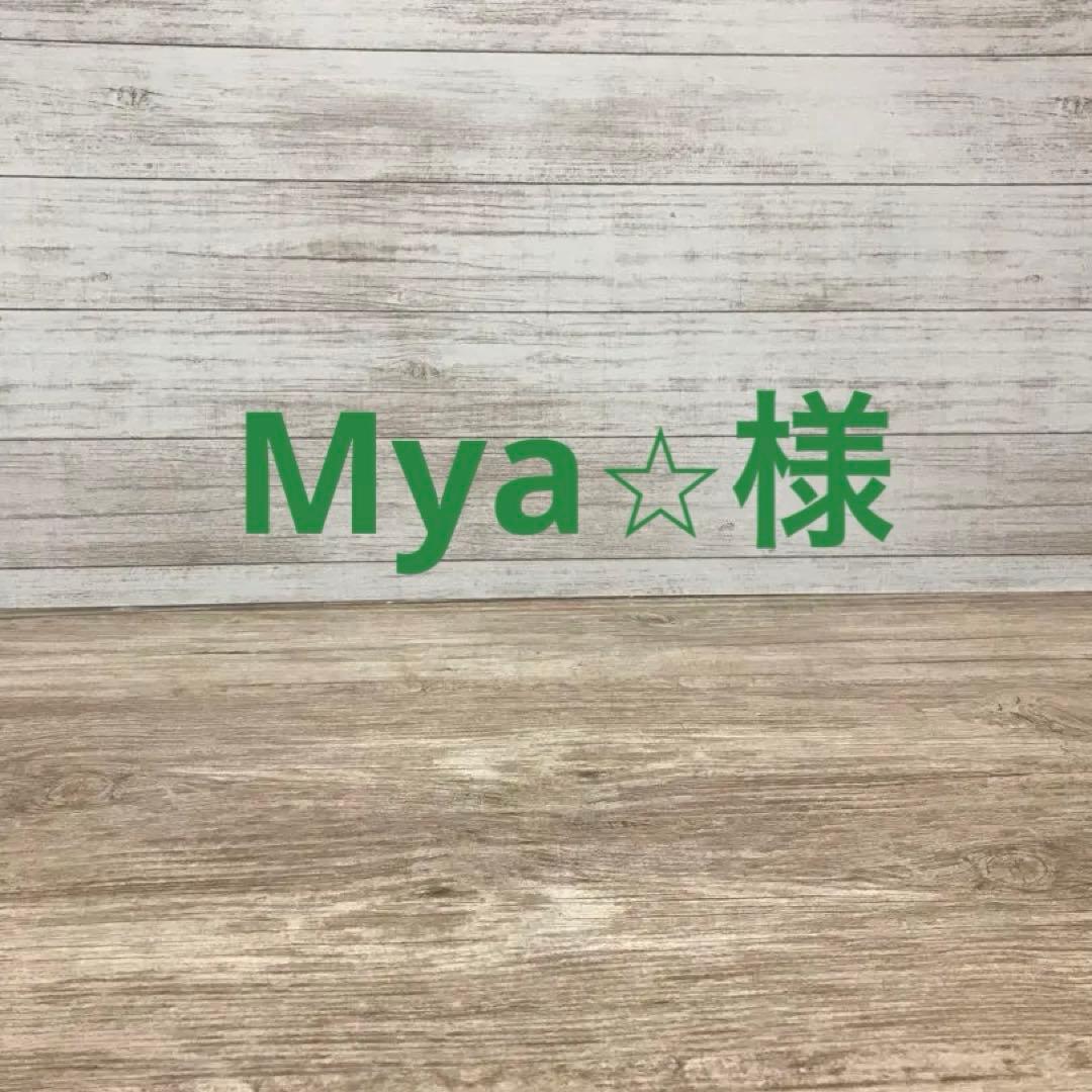 Mya⭐︎様　野球柄5点セット　上靴袋