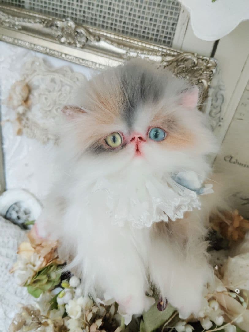 パステル三毛♡キャリコ子猫ちゃん♡オッドアイ♡アートドール♡ぬいぐるみ