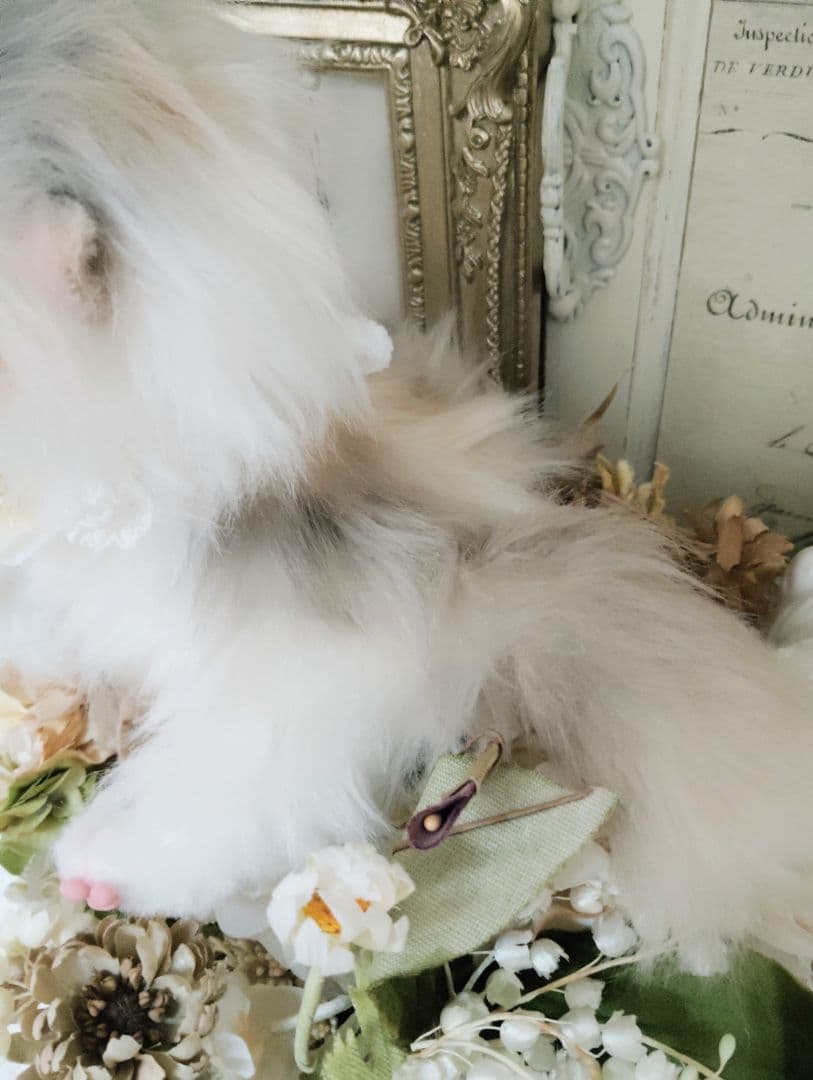 パステル三毛♡キャリコ子猫ちゃん♡オッドアイ♡アートドール♡ぬいぐるみ