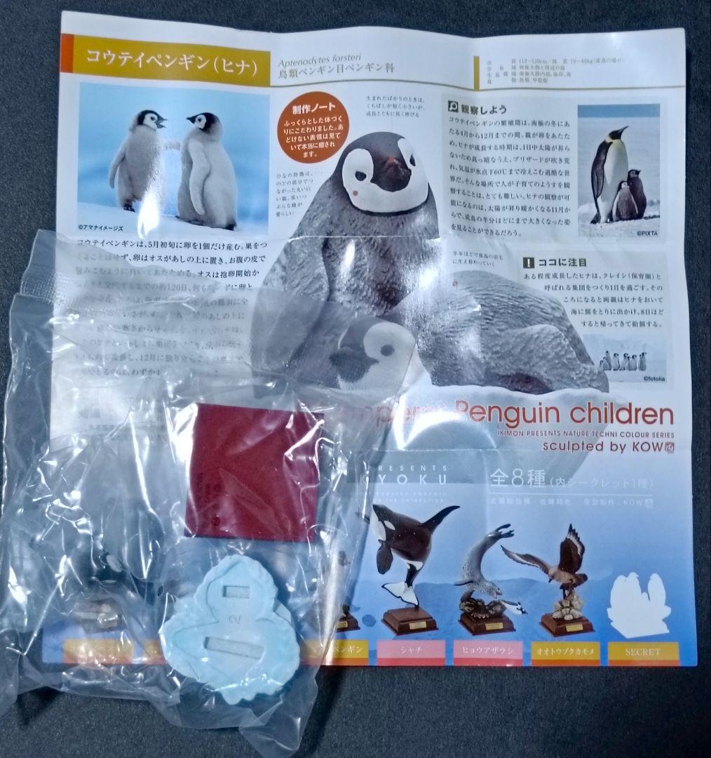 新品 南極 初期版(赤台座) 全8種 コンプリート ネイチャーテクニカラー