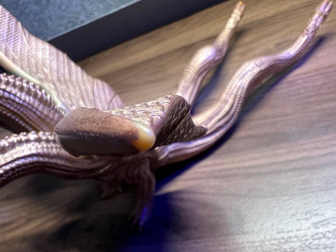 キングギドラ　USJ ソフビ