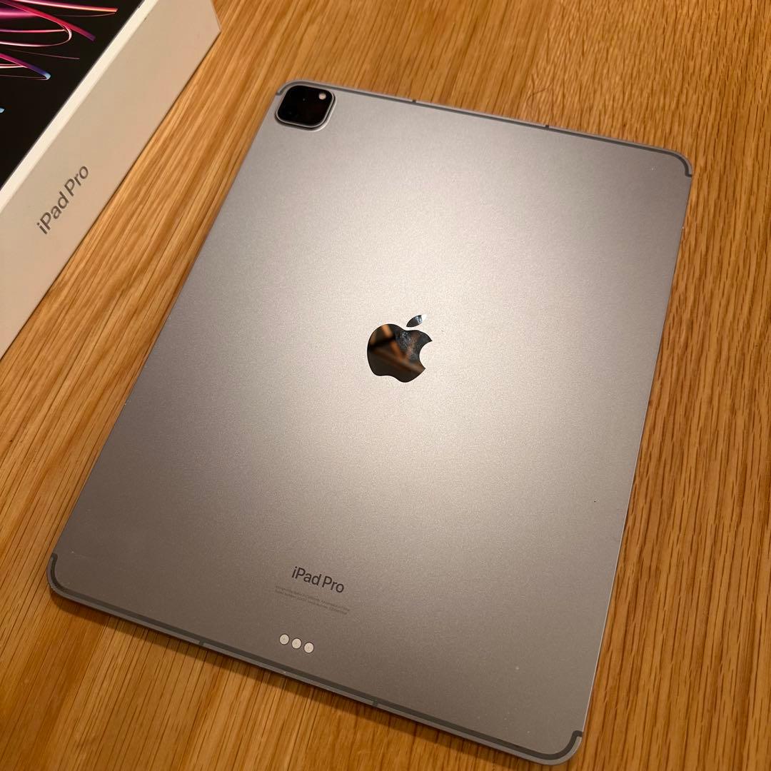 Apple iPad Pro 第6世代 M2 512GB Celler 訳あり