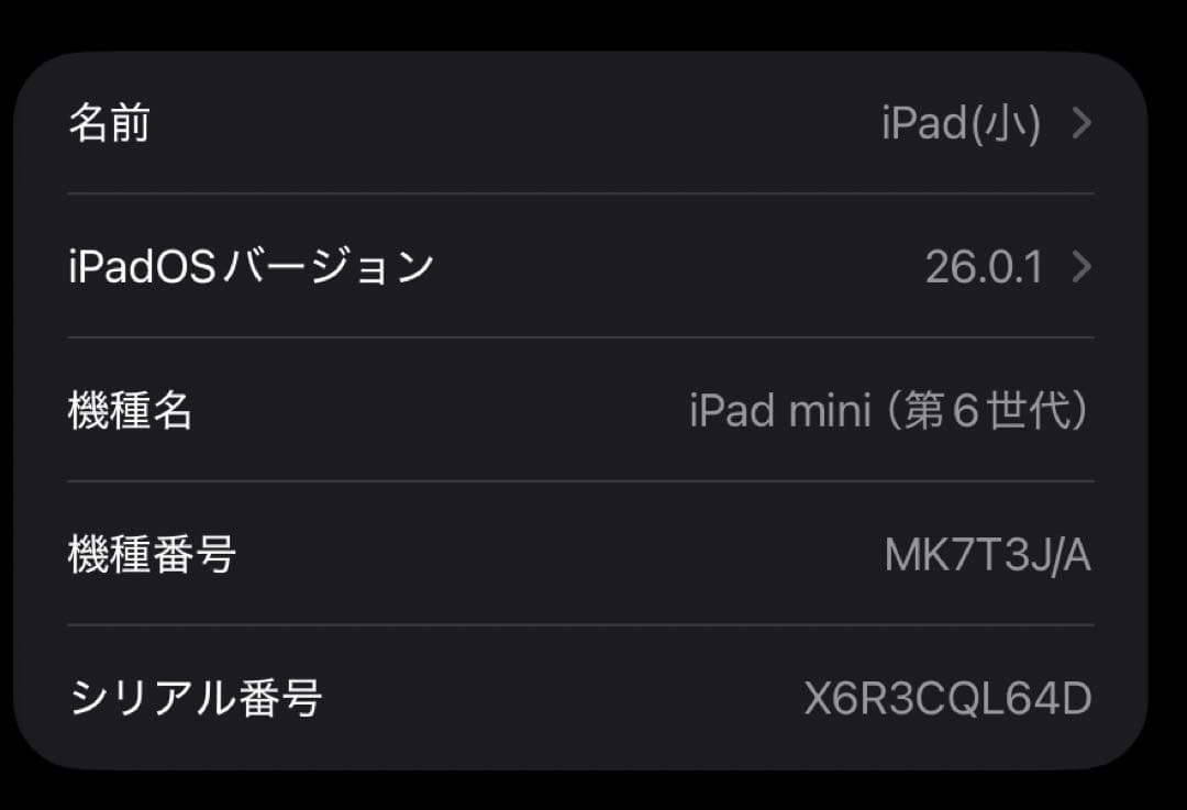 iPad mini 第6世代 256GB